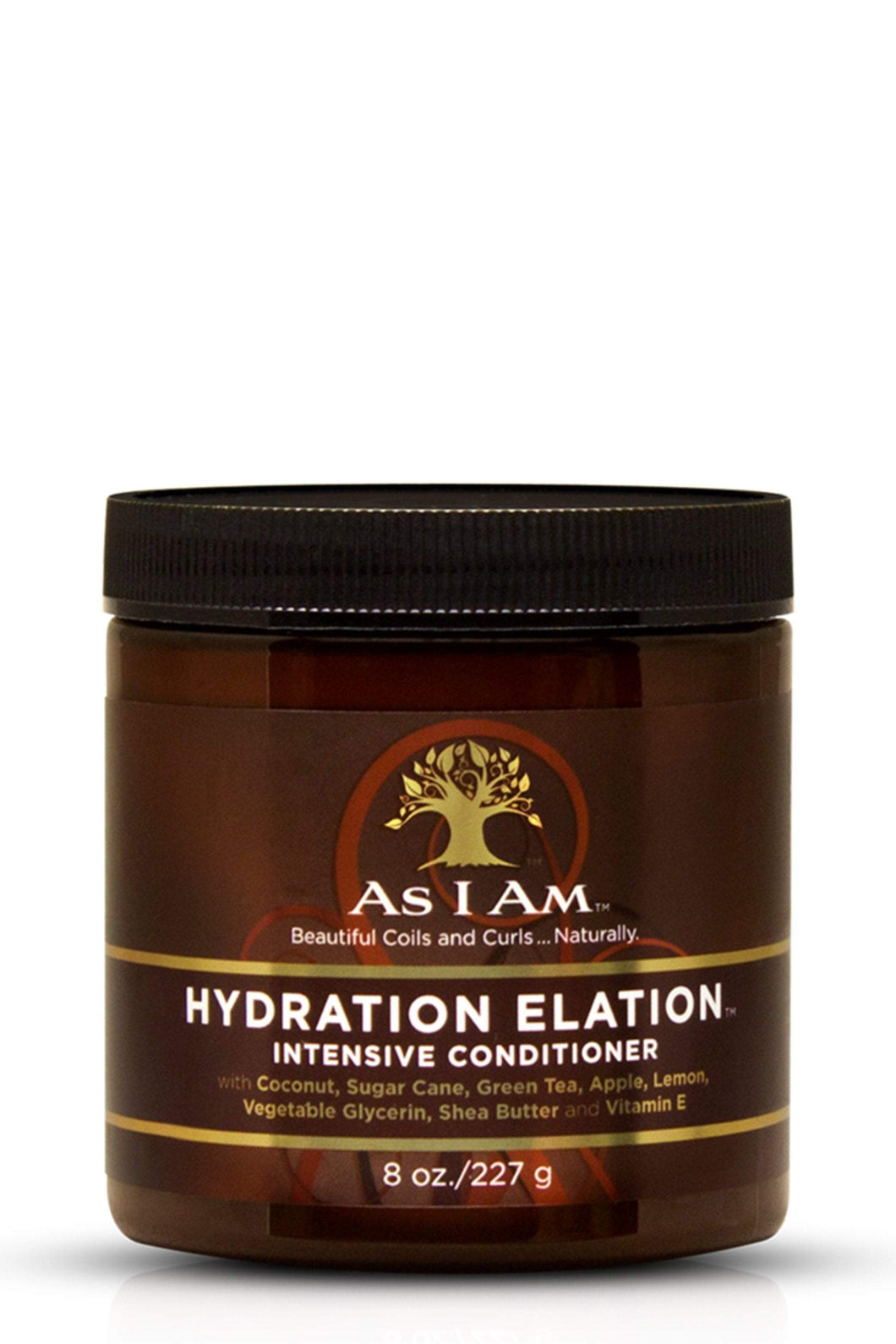 AS I AM Hydration Elation Intensive Conditioner Product