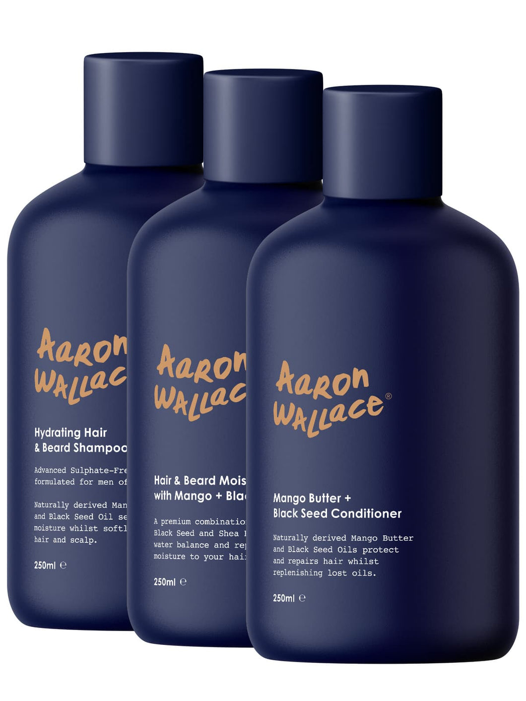 Aaron Wallace 3 step haircare system
